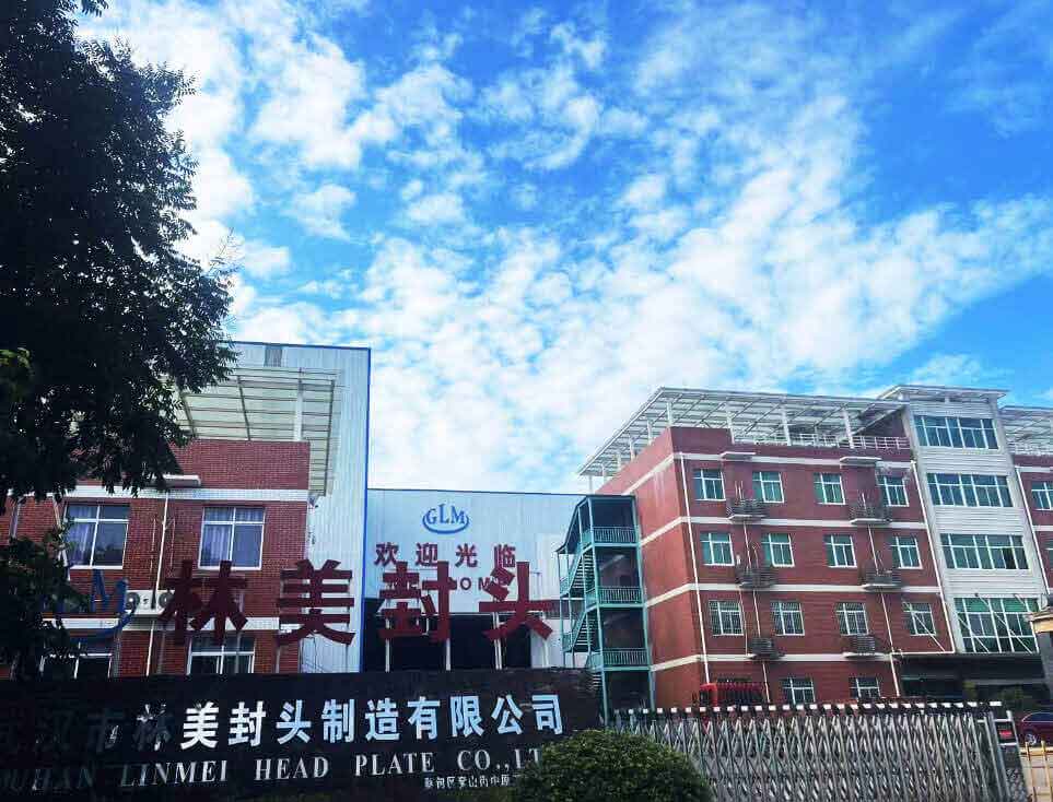 Wuhan Linmei Head Plate Co., Ltd