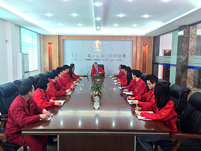 Warmly Congratulating Lin Mei for Granted the Chinese Chemi